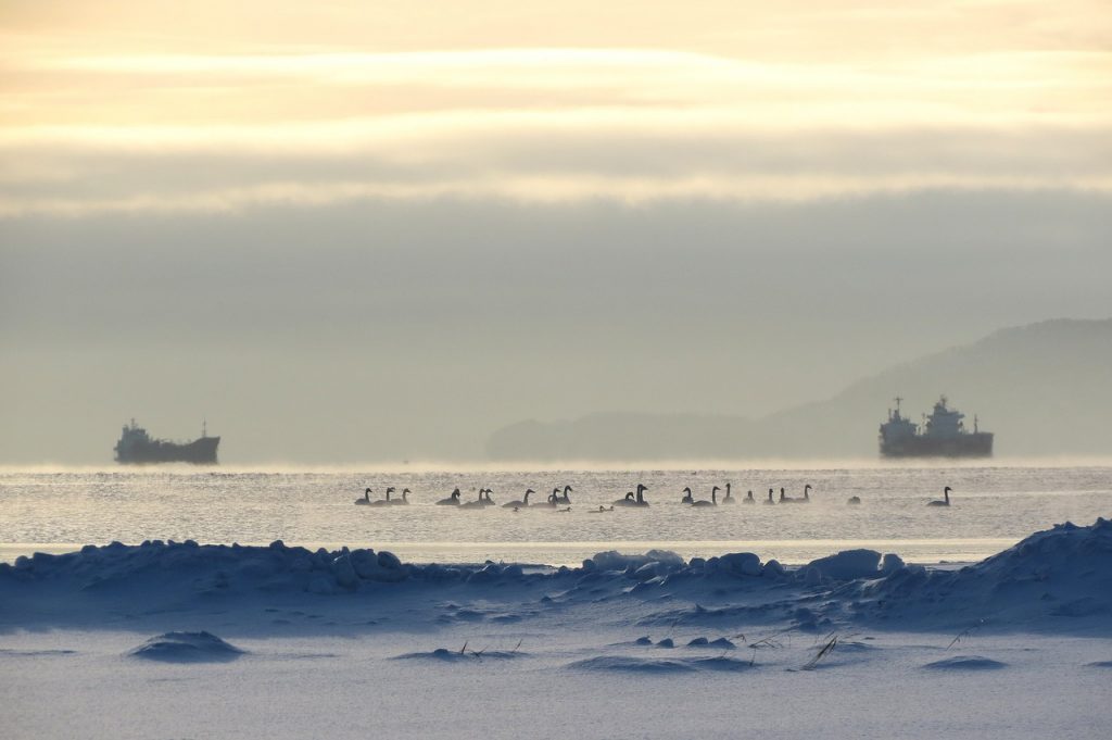 Het Russische schiereiland Kamtsjatka is van belang door zijn strategische ligging tussen de Zee van Ochotsk en de Beringzee, rijke visgronden en belangrijke militaire bases aan de Stille Oceaan.